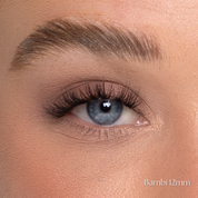Bambi Lashes | Freefill & Refill
