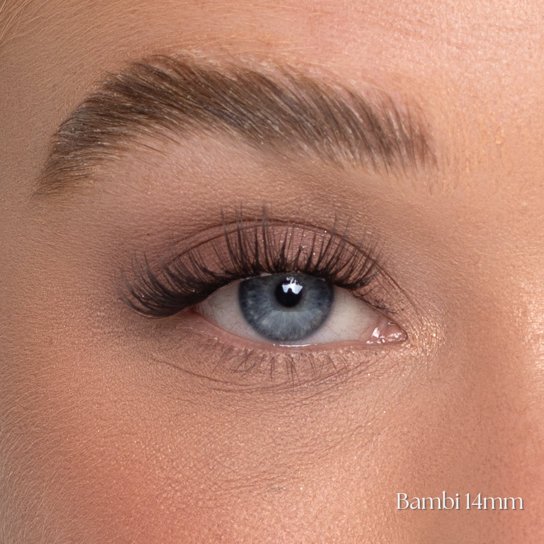 Bambi Lashes | Freefill & Refill