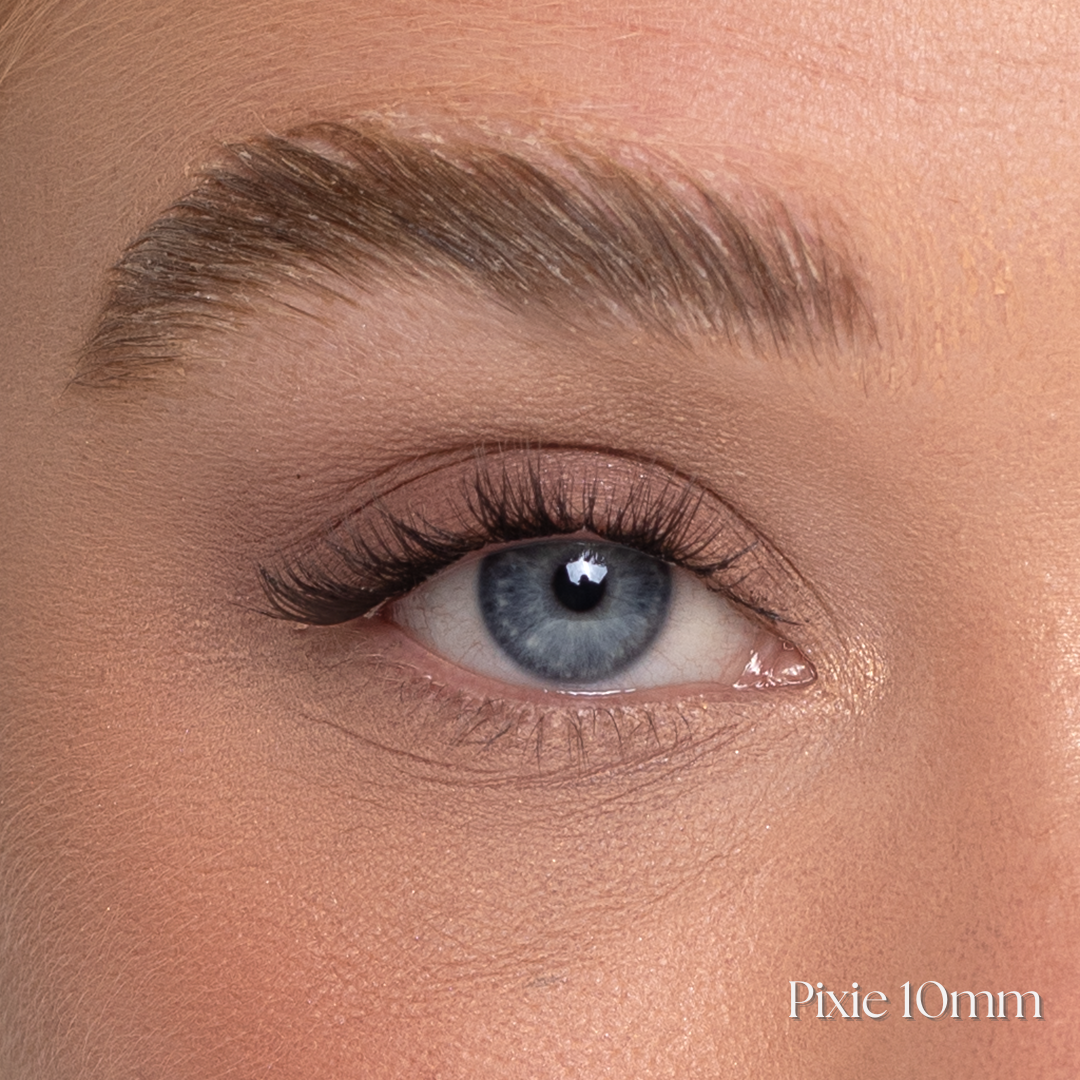Lash Starter Kit | Pixie